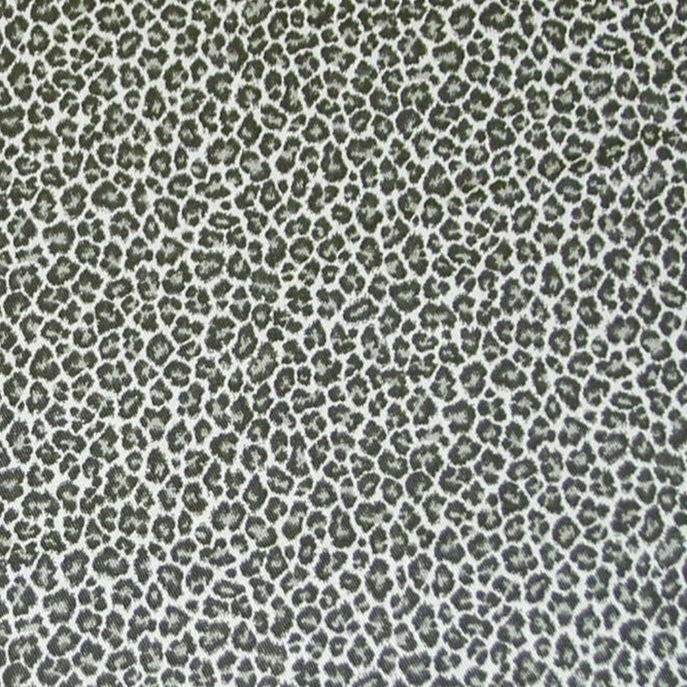 Cotton Cheetah Cub Black Fabric